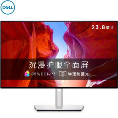 戴尔 DELL U2422H 显示器 23.8英寸 IPS 标准 美术 办公 显示器