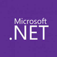 .NET Framework